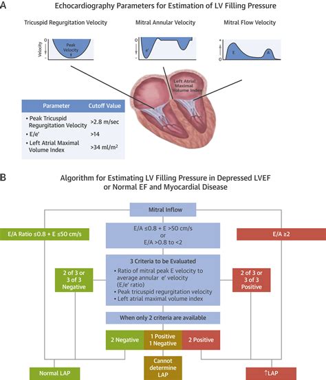 lv function grade|Left Ventricular Diastolic Dysfunction: Diagnostic and .